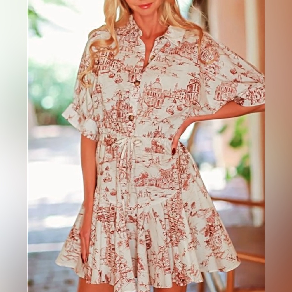 Take Your Word Italian Toile Print Dress SZ L - Picture 5 of 5